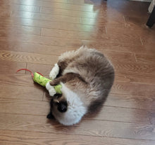 Load image into Gallery viewer, Dope Stick Large Kitty Kicker