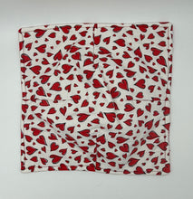 Load image into Gallery viewer, Dancing Hearts Boho Plate Cozie
