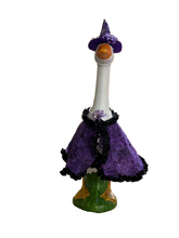 Load image into Gallery viewer, Witchy Goose Cape and Necklace