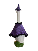 Load image into Gallery viewer, Witchy Goose Cape and Necklace